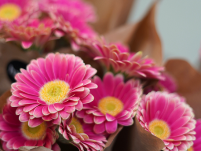PHOTO SHOOTING CLIENT
